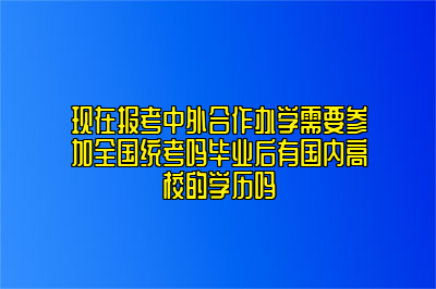 现在报考中外合作办学需要参加全国统考吗毕业后有国内高校的学历吗