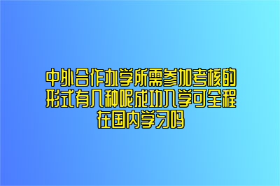 中外合作办学所需参加考核的形式有几种呢成功入学可全程在国内学习吗