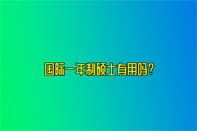 国际一年制硕士有用吗?