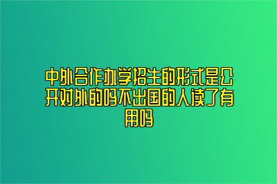 中外合作办学招生的形式是公开对外的吗不出国的人读了有用吗