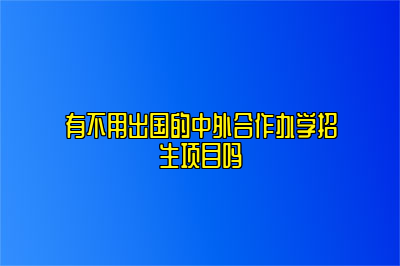 有不用出国的中外合作办学招生项目吗