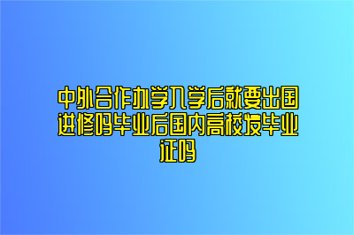 中外合作办学入学后就要出国进修吗毕业后国内高校发毕业证吗