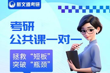 北京新文道考研一对一公共课辅导班